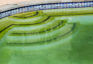 Image of pool with green water from algae build up