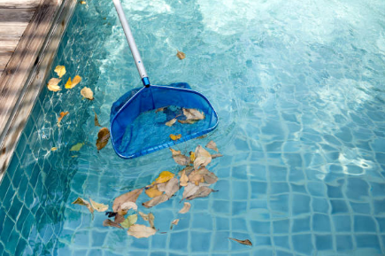 Image of blue skimmer cleaning out leaves from a pool