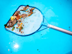An image of a pool skimmer holding debris and leaves over a pool