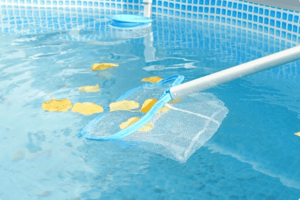 image of pool net cleaning leaves from pool