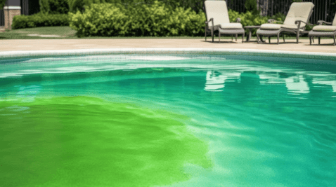 Image of pool with green water from algae build up