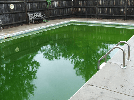 Image of murky pool